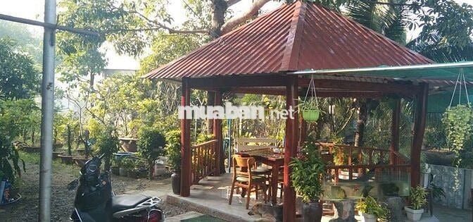 Bán nhà vườn, thích hợp về hươu Nghỉ dưỡng. DT 2300m có 680m thổ cư.