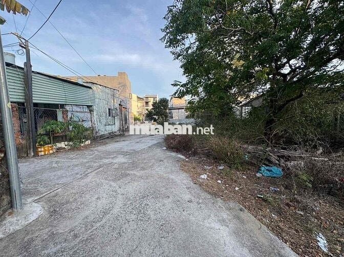 Chào bán lô  đất kiệt đường Lưu quang vũ. Gần Chợ Khái Tây-p ngũ hành