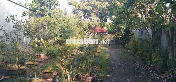 Bán nhà vườn, thích hợp về hươu Nghỉ dưỡng. DT 2300m có 680m thổ cư.