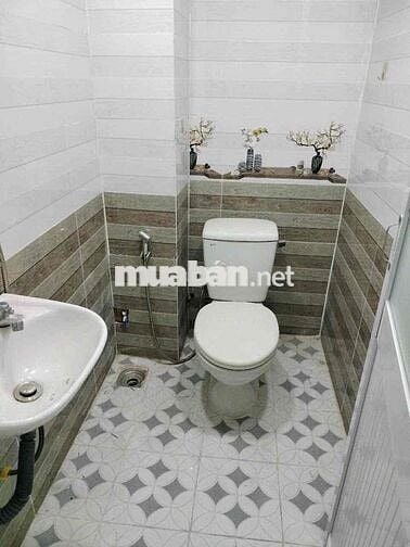 Cho thuê nhà nguyên căn hẻm 115 Phạm Hữu Lầu quận 7