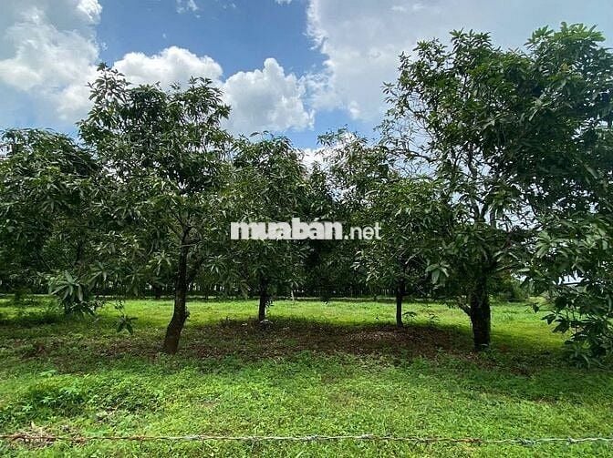 🔥 Chỉ 550 Triệu/1000m² – Sát Sông La Ngà, Gần Hồ Trị An, Giá Ngộp !!