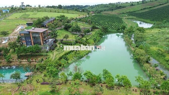 Sở Hữu Đất Nền Nghỉ Dưỡng View Suối Cực đẹp