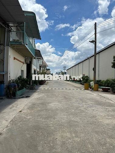 🔴 CHO THUÊ KHO XƯỞNG LONG AN HÌNH ẢNH THẬT 100% GIÁ RẺ