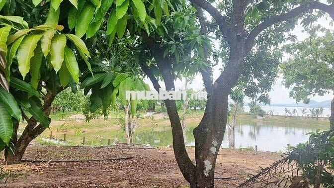 🔥 Chỉ 550 Triệu/1000m² – Sát Sông La Ngà, Gần Hồ Trị An, Giá Ngộp !!