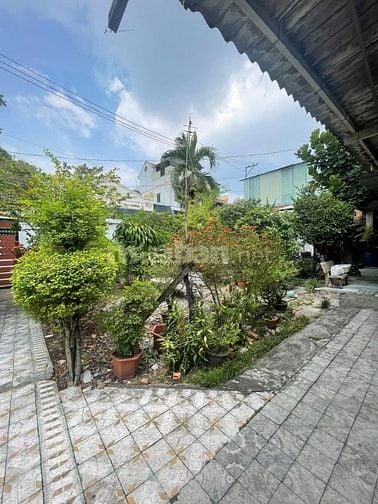BÁN ĐẤT MẶT TIỀN 17,4M – QUỸ ĐẤT PHÁT TRIỂN CHDV/VĂN PHÒNG – TAM PHÚ