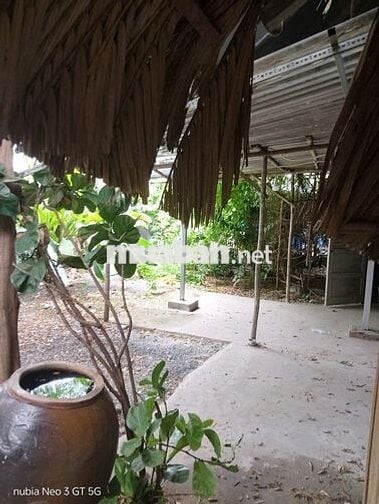NHÀ NGUYÊN CĂN SÂN VƯỜN TRƯỚC NHÀ GẦN CẦU THANH ĐA - 10X6M-OTO TỚI CỬA