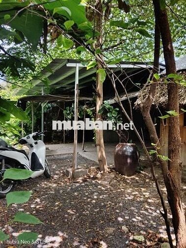 NHÀ NGUYÊN CĂN SÂN VƯỜN TRƯỚC NHÀ GẦN CẦU THANH ĐA - 10X6M-OTO TỚI CỬA