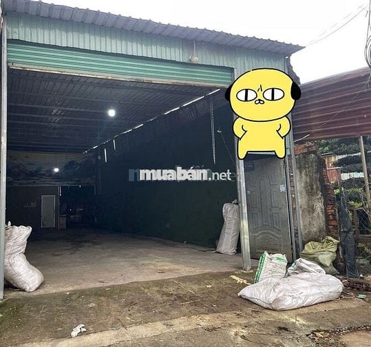 Cho thuê Mặt bằng KInh Doanh, 5.5 x 45m, giá chỉ 10tr