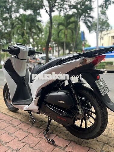Honda SH 125 2013 Trắng