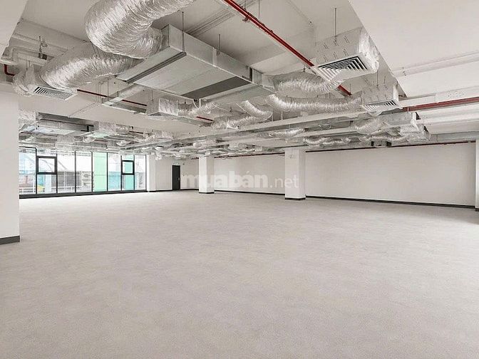 Bán tòa nhà Cách Mạng Tháng 8, Q3, 668m², 2 hầm 10 tầng, giá 450 tỷ