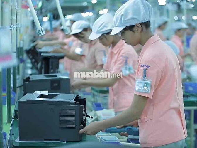 TUYỂN NAM/NỮ LÀM HÀNH CHÍNH T.Ca ở kcn amata B.Hoà