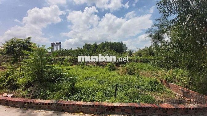 Bán 107m2 ( 10x11 ) Đường Hùng Vương, Nhơn Trạch, Thành phố Đồng Nai