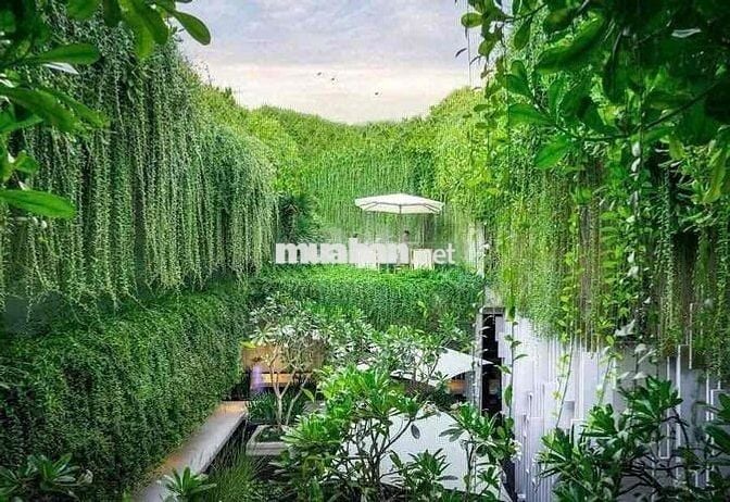 Chính Chủ Bán Homestay Nghỉ Dưỡng