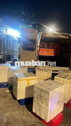 [***, BAO ĂN Ở] 2 NV ĐÓNG HÀNG/SƠ CHẾ BÌNH D