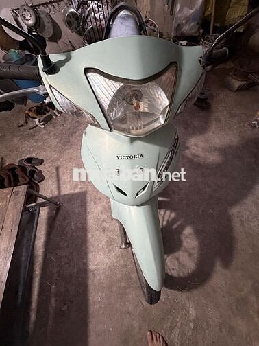 Victoria Wave AA 50cc Xanh ngọc