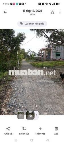 Đất thổ cư toàn bộ 700m2 ngang 20m sát bên chợ thị trấn Đức Huệ