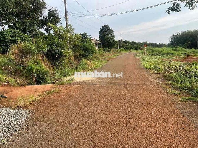 Tôi chính chủ bán 1 sào đất mặt tiền nhựa phủ hồng giá 390tr