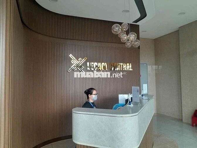 chính chu cho thuê căn hộ studio