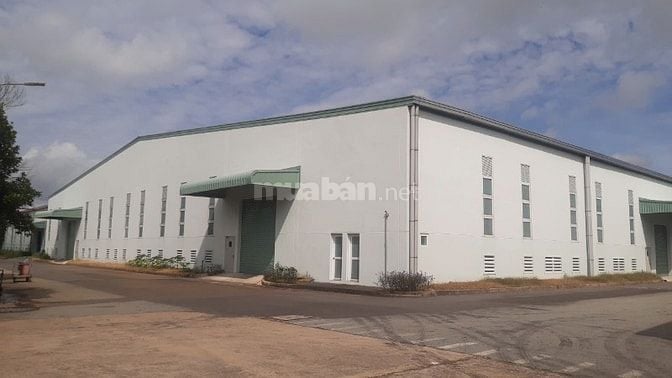 Cho thuê kho xưởng 5.000m2 tại CCN Bến Lức, Long An - Giá 3.1 USD/m2/t