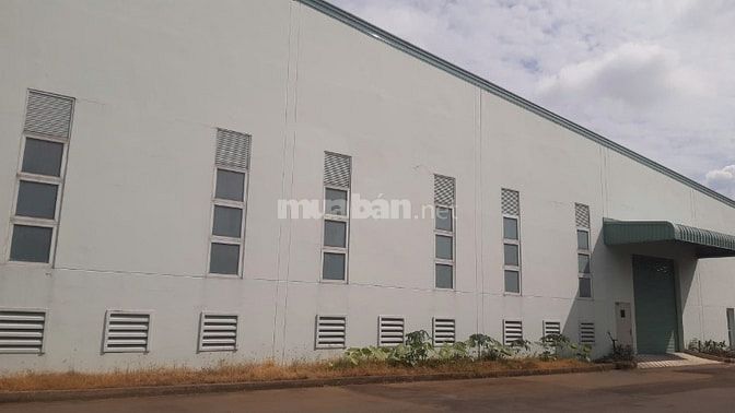 Cho thuê kho xưởng 5.000m2 tại CCN Bến Lức, Long An - Giá 3.1 USD/m2/t