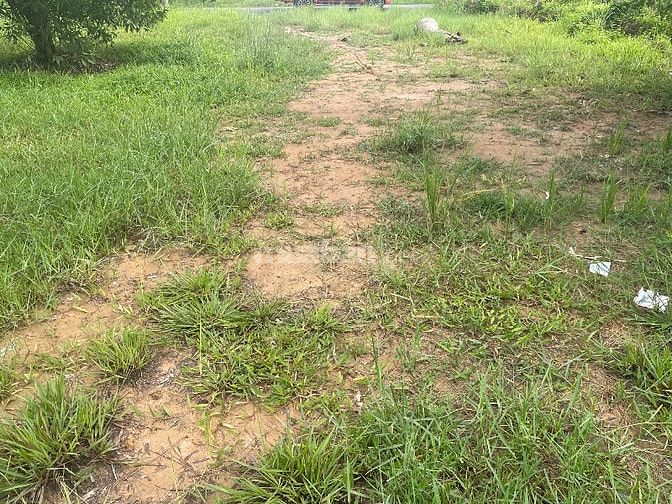 Đất xây biệt thự 800m2 mt đường nhựa chính chủ
