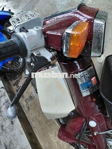 Honda Cub Custom 50cc. cavec bs16