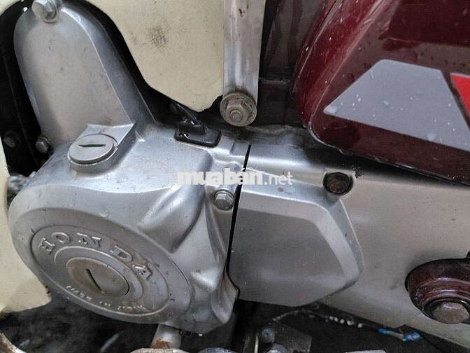 Honda Cub Custom 50cc. cavec bs16
