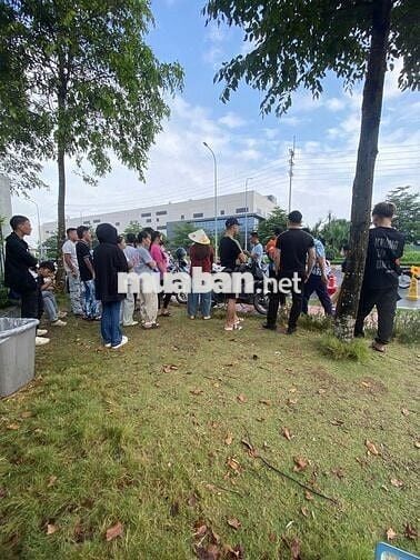 13 BẠN LÀM ĐIỆN TỬ TẠI ĐỒNG VĂN 3 - HÀ NAM