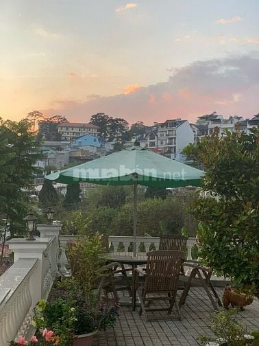 Nhà đất 2 mặt tiền An Bình, trung tâm TP Đà Lạt, thổ cư 1.470m² 42x35m