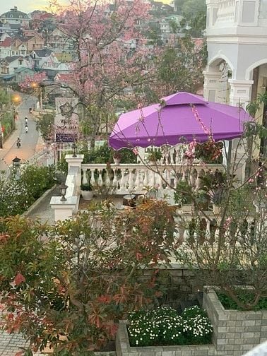 Nhà đất 2 mặt tiền An Bình, trung tâm TP Đà Lạt, thổ cư 1.470m² 42x35m