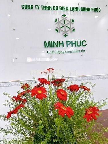 TUYỂN DỤNG NHÂN VIÊN VĂN PHÒNG / KẾ TOÁN NỘI BỘ