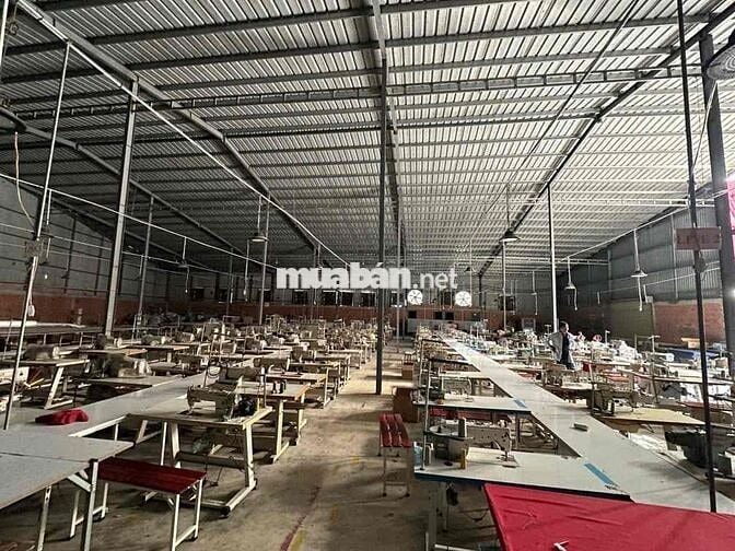 🔴 CHO THUÊ KHO XƯỞNG LONG AN HÌNH ẢNH THẬT GIÁ RẺ