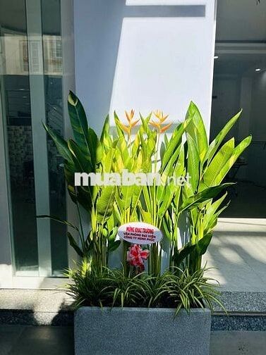 TUYỂN DỤNG NHÂN VIÊN VĂN PHÒNG / KẾ TOÁN NỘI BỘ