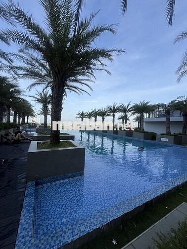 Cho thuê căn OT siêu đẹp chỉ 9tr tại Lavida plus