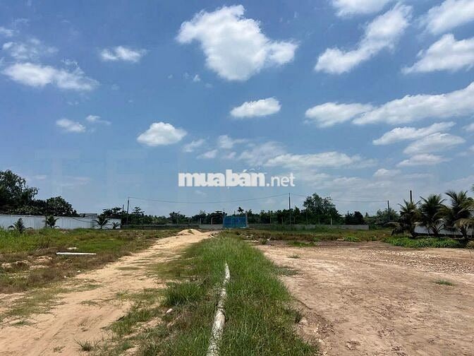 Cho thuê gần 16.000 m² đất mặt tiền giáp sông 2.000 tấn, lộ Container