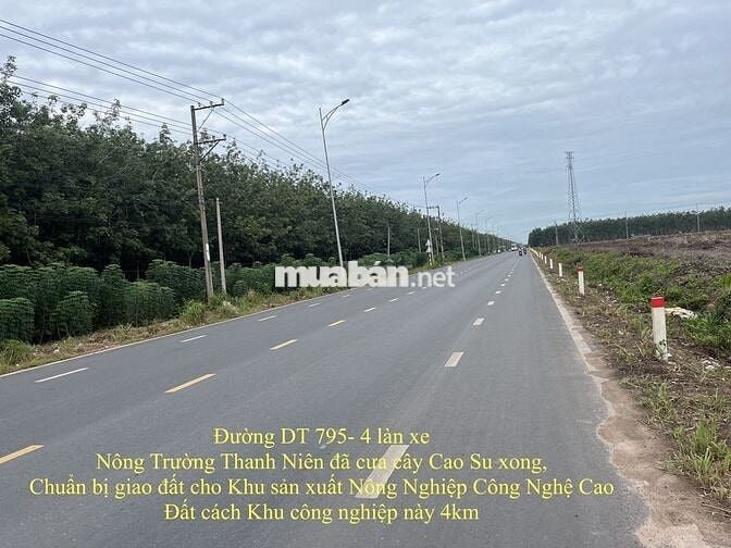 Cần Bán Gấp Đất Khu Dân Cư Ấp 2, Xã Suối Dây Giá Siêu Tốt !