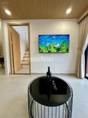 Chính chủ cho thuê căn hộ 1BR+ tại Tòa A1, Sun Urban City Hà Nam.