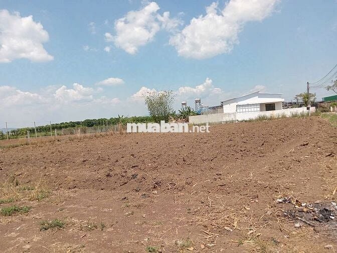 BÁN ĐẤT TRUNG TÂM XÃ TÂN HỘI (THÔN TÂN TRUNG) 1.623,6 m² – ĐÃ PHÂN LÔ