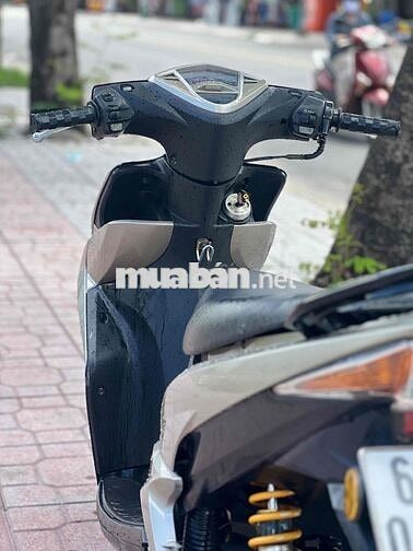 Yamaha Luvias Đen, Bạc