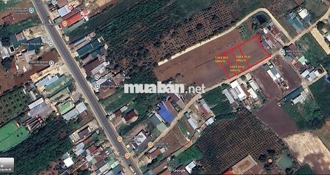 BÁN ĐẤT TRUNG TÂM XÃ TÂN HỘI (THÔN TÂN TRUNG) 1.623,6 m² – ĐÃ PHÂN LÔ