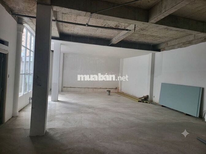 BIỆT THỰ HỒNG LẠC TÂN BÌNH, TRỆT 2 LẦU, DTSD HƠN 1000M2 NỞ HẬU