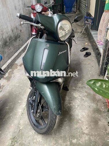 Yamaha Janus Xanh rêu