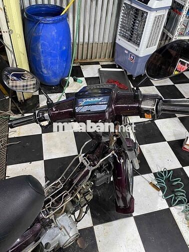 Honda Dream 100 Tím