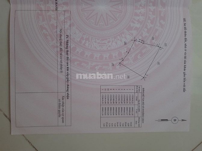 Chính chủ cần tiền bán gấp trại Vườn Xoài tại Cam Phúc Bắc, Cam Ranh