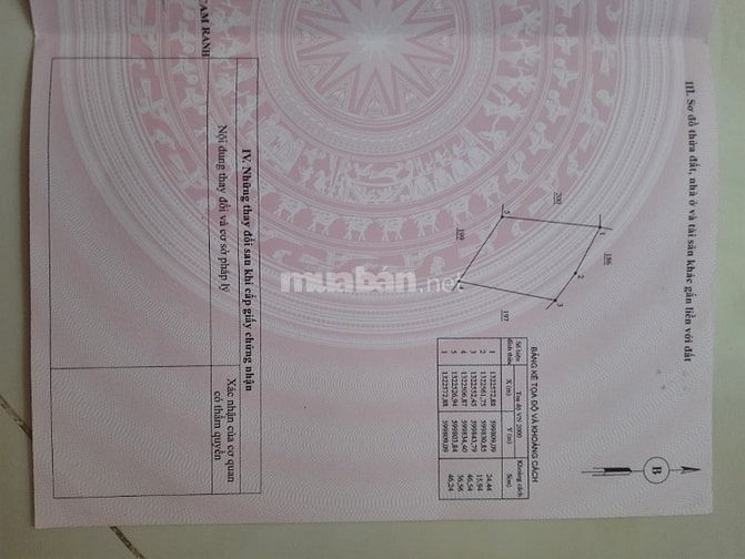Chính chủ cần tiền bán gấp trại Vườn Xoài tại Cam Phúc Bắc, Cam Ranh