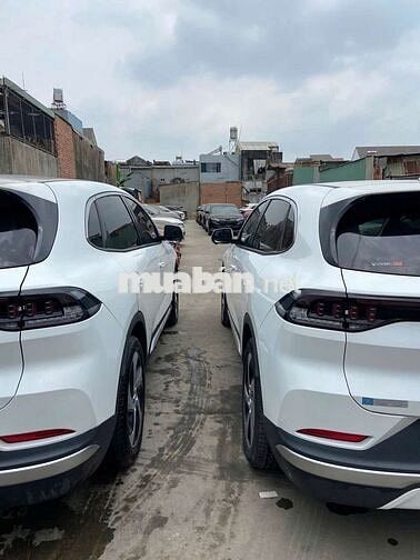 VF8 ECO TRẮNG