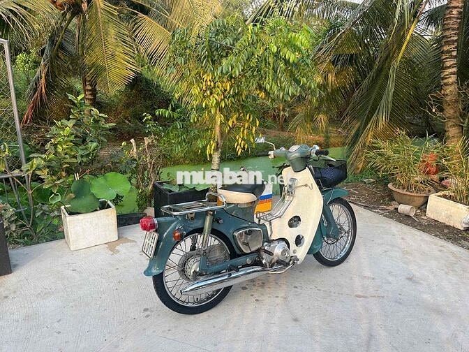 Honda Cub 78 Xanh ngọc, Trắng