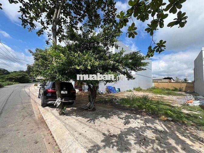 Bán 03 lô đất mặt tiền đường Trần Hải Phụng, Phường Bình Tân, HCM