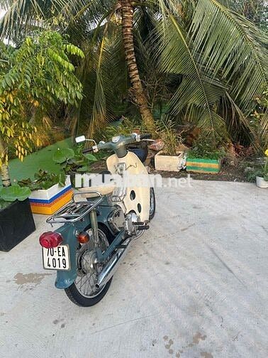 Honda Cub 78 Xanh ngọc, Trắng