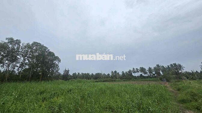 BÁN GẤP CỰC RẺ MẶT TIỀN ĐƯỜNG 904